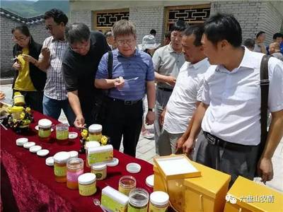 中国养蜂学会蜜蜂学术研讨会代表团考察观摩泾源县中华蜜蜂养殖基地